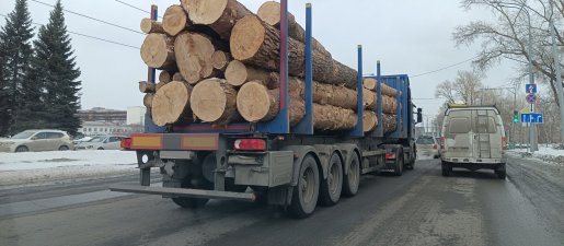 Поиск транспорта для перевозки леса, бревен и кругляка стоимость услуг и где заказать - Краснодар